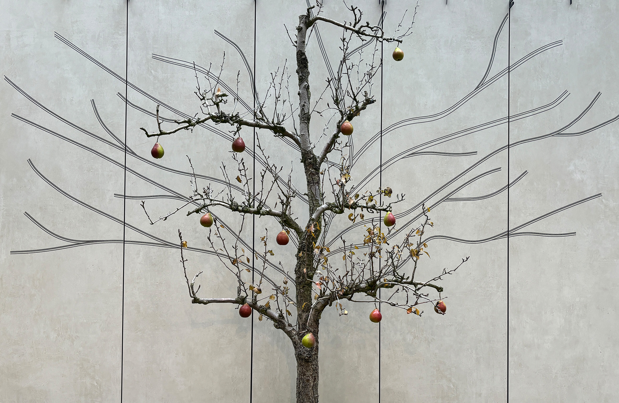 BeeActive: Fassadenwetbewerb